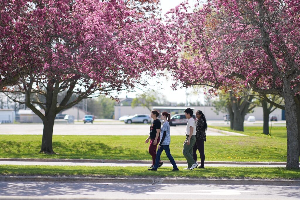 Four students walk along a grassy median in front of pink flowering trees.