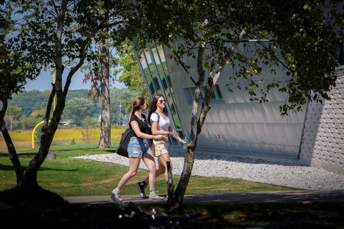 Two students in shorts and t-shirts walk past trees along a path in front of the library on a sunny day.