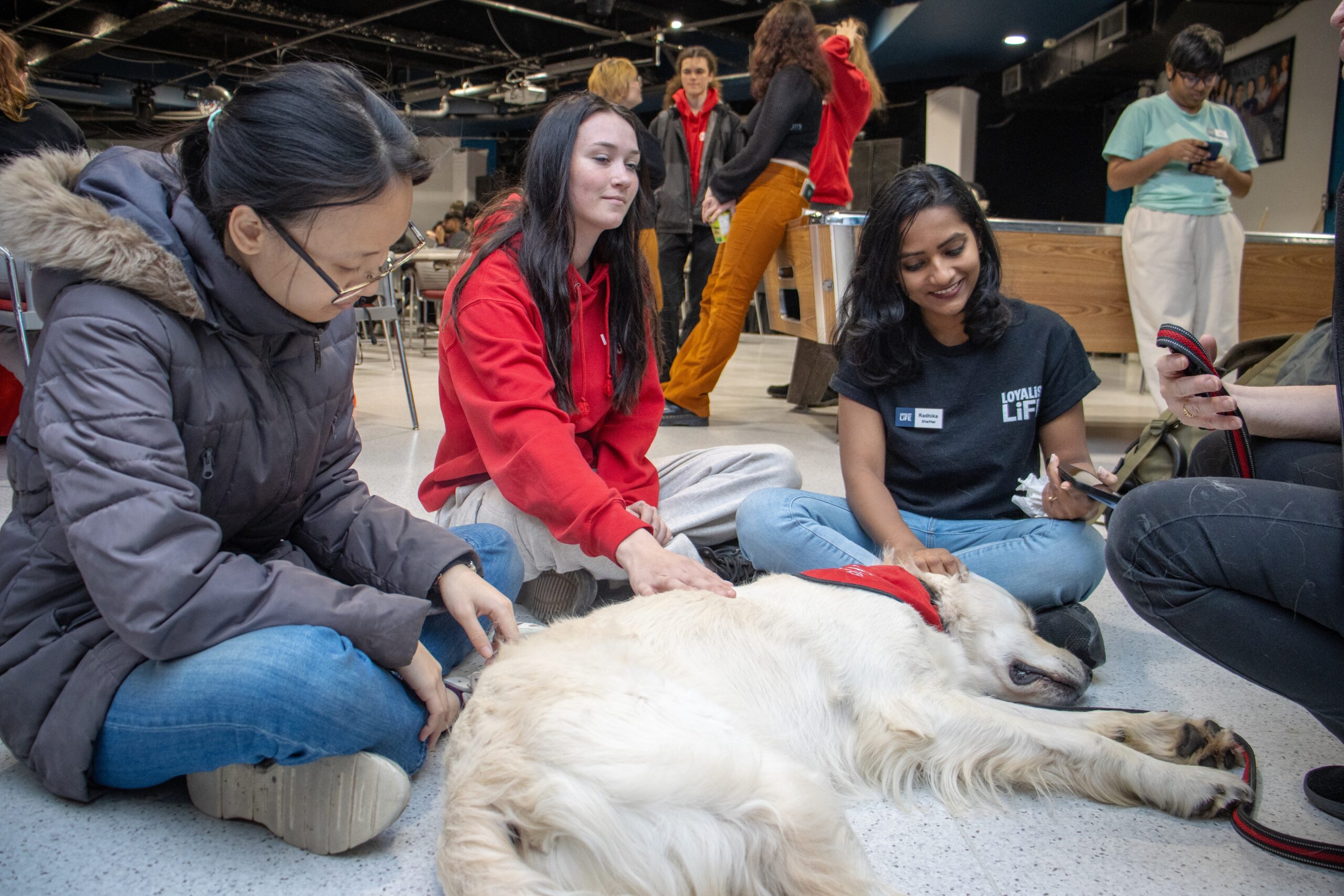 Three students sit on the floor, in front of them is a dog laying down with a red bandana on. The students are petting the dog, while in the background other people can be seen in groups standing and talking.