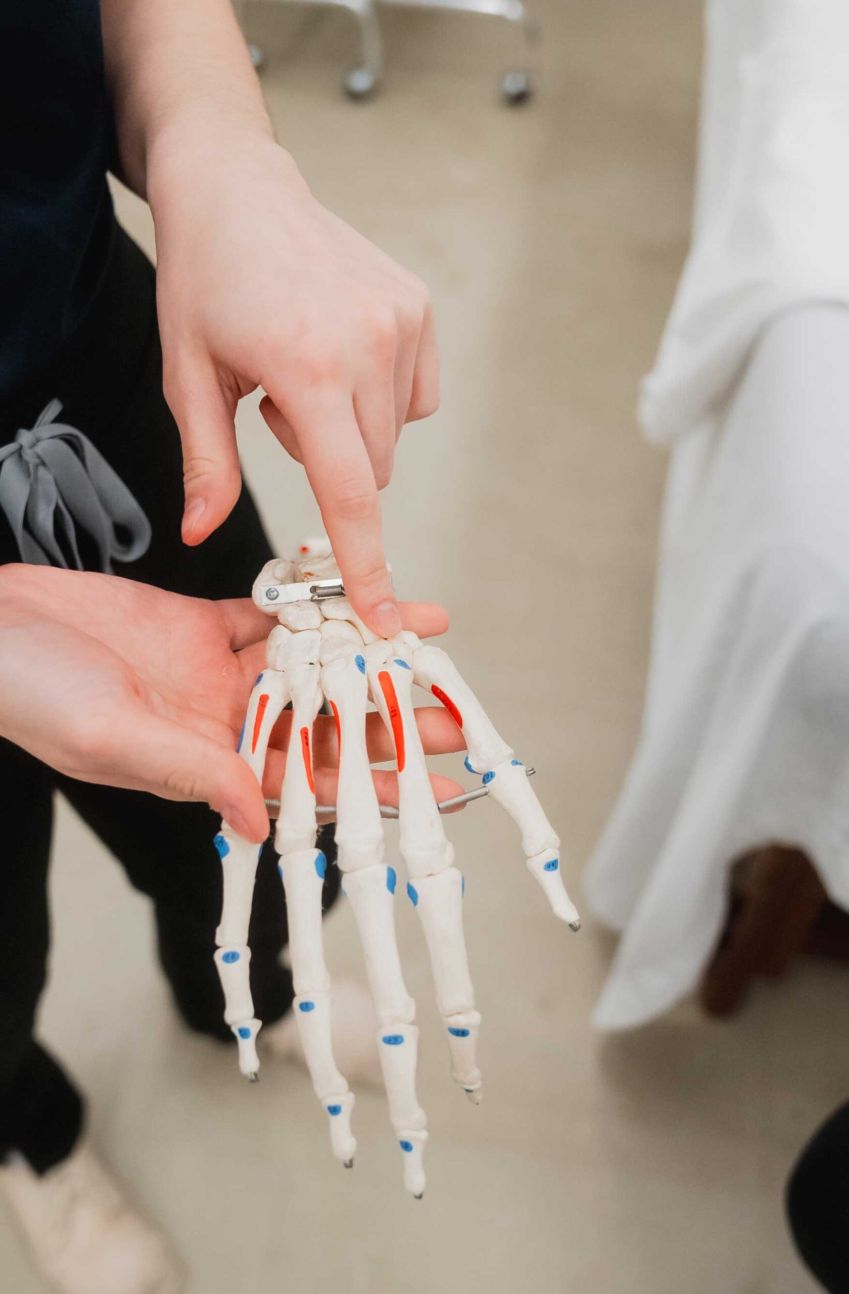 A massage therapy student is holding a skeletal model of the human hand and is pointing at one of the bones near the wrist.
