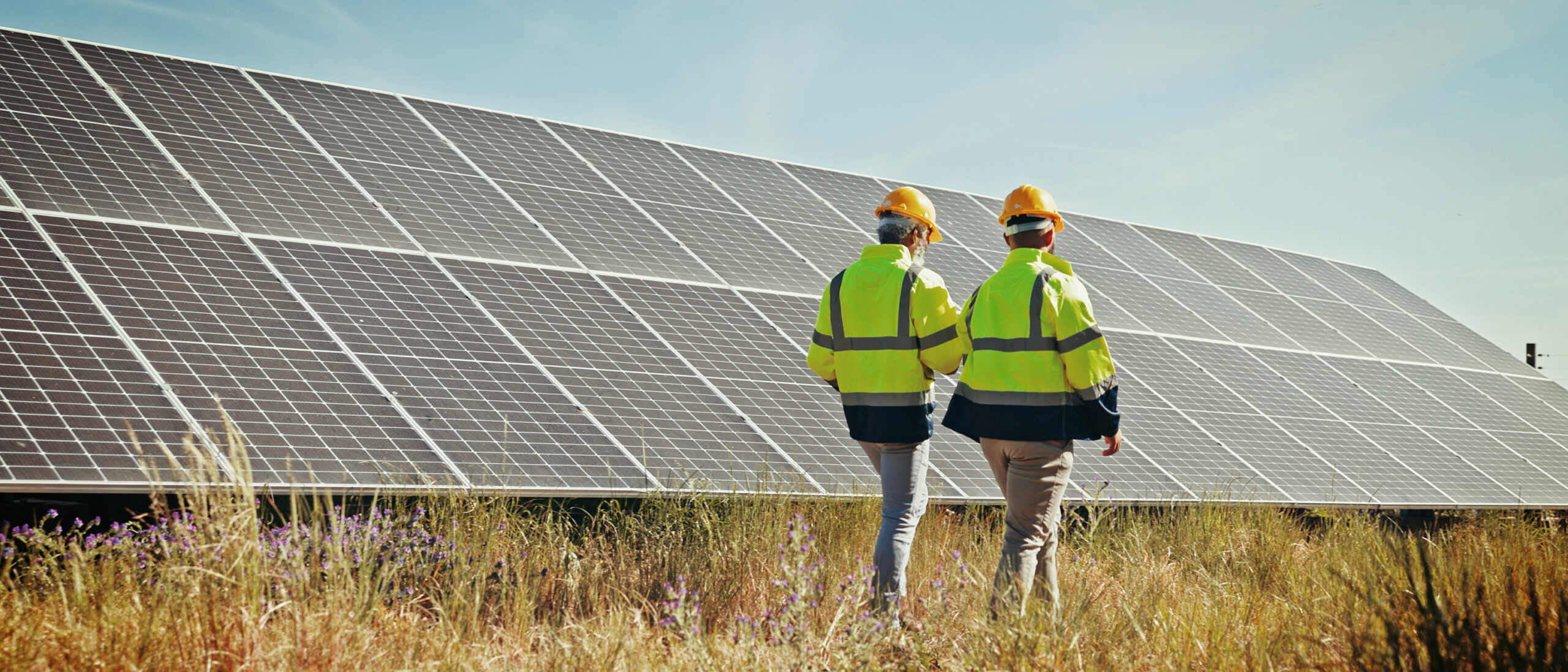 Two men in safety vests and hard hats are walking in a field. To their left are large solar panels lining the field.