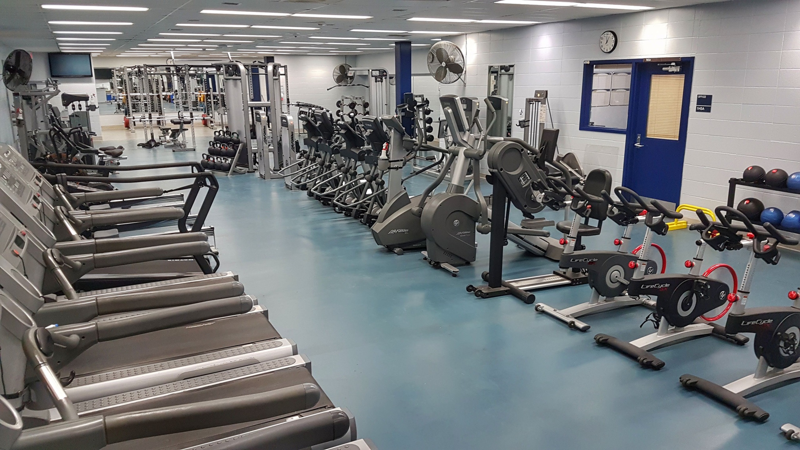 Interior of a large fitness centre with rows of treadmills along the left wall, elliptical trainers and stationary bikes in the centre, and weight machines visible in the background. The room has a blue rubber floor, white walls, and fluorescent ceiling lighting.