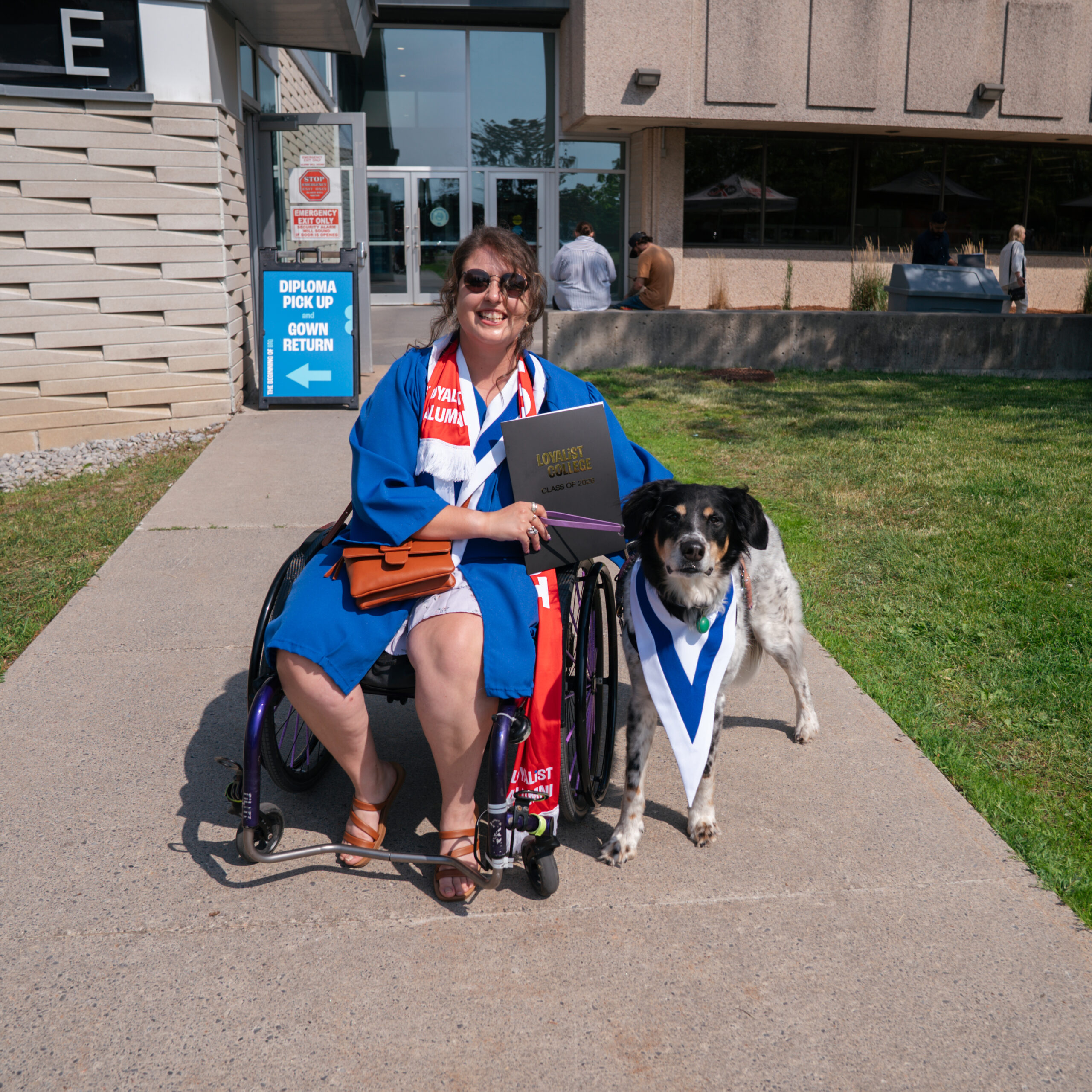A graduate in a blue convocation gown sits in a wheelchair holding a Loyalist College diploma, alongside a dog wearing a matching graduation stole, outside the college entrance.